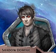 Shadow Dominic