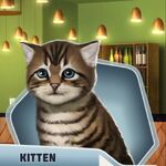 Weh tabby kitten
