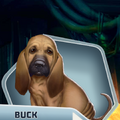 OR Ch09 Buck