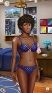TE F1 Lingerie Full View.jpg (490 KB) Lingerie Full View