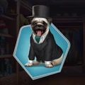 Pug Suit