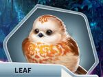 TCH Ch4 Leaf