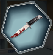 Bloody Knife