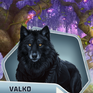 Valko's Wolf Form