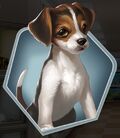 LH2 Puppy LV.jpg