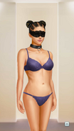 Lingerie w/ Collar & Blindfold