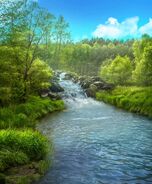 Stream near Morrison Winery