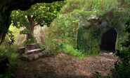 Woods w/ Cave Entrance