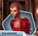 TCH Ch8 Magpie