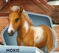 TGOU Ch06 Moxie