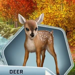 ID3 Ch07 Deer
