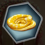 Snake.jpg (388 KB) Python Bivittatus