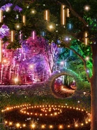 Forest Rave w/ Bubbles