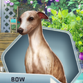 OR Ch09 Bow