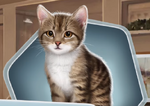 TRH Kitten