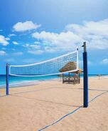 Volleyball Area