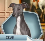 BaBu2 Zeus