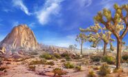 Joshua Tree Park (Day)