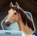BaBu2 Ch10 Foal