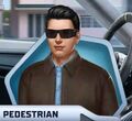 TPA Ch9 Pedestrian