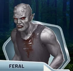 Feral3