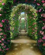 Hedge Maze (Day)