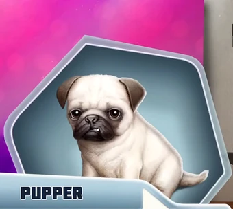 Queen B Adoptable Animals Choices Stories You Play Wiki Fandom
