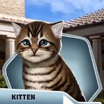 DDBk3Ch13 Kitten