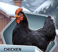 ITW Black Chicken