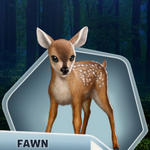 AP Ch17 Fawn
