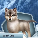 TRH3Ch08 Wolf Cub