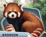 HOF Ch09 Bronson