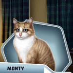 WEHCh11 Monty