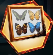 Grace's Ember of Hope (Salvaged Frame)