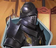 Jousting Armor