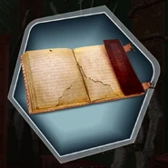 Niamh Beaumont's journal
