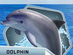 OR Ch07 Dolphins