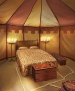 Aerin's Tent