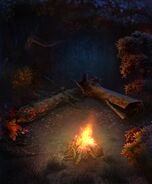 Bonfire