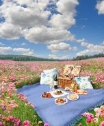 Flower Festival picnic area