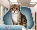Kindred Ch04 Cat