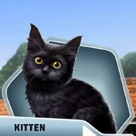 DDBk3Ch18 Kitten