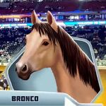 BSCBk2Ch07 Bronco (1)