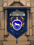 House Aster's banner