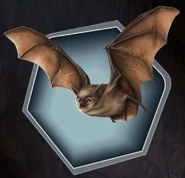 Bats