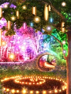 Forest Rave w/ Sunshine