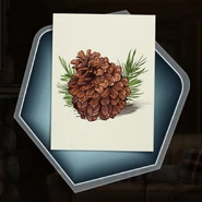 Hc mood board pine cone.jpg (143 KB) Strobilus
