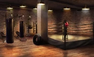 Safehouse Gym