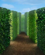 HedgeMaze.jpg (278 KB) Hedge Maze (Light)