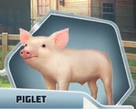 RCDCh14 Piglet